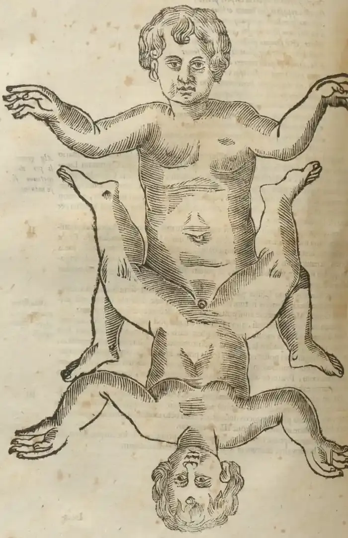 Illustration from page 648