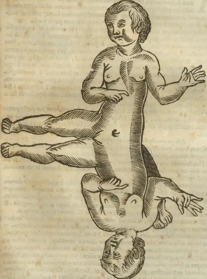 Illustration from page 649