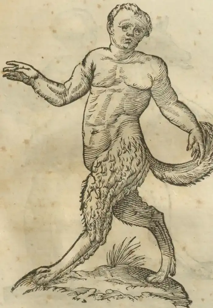 Illustration from page 651