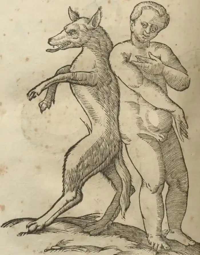 Illustration from page 652