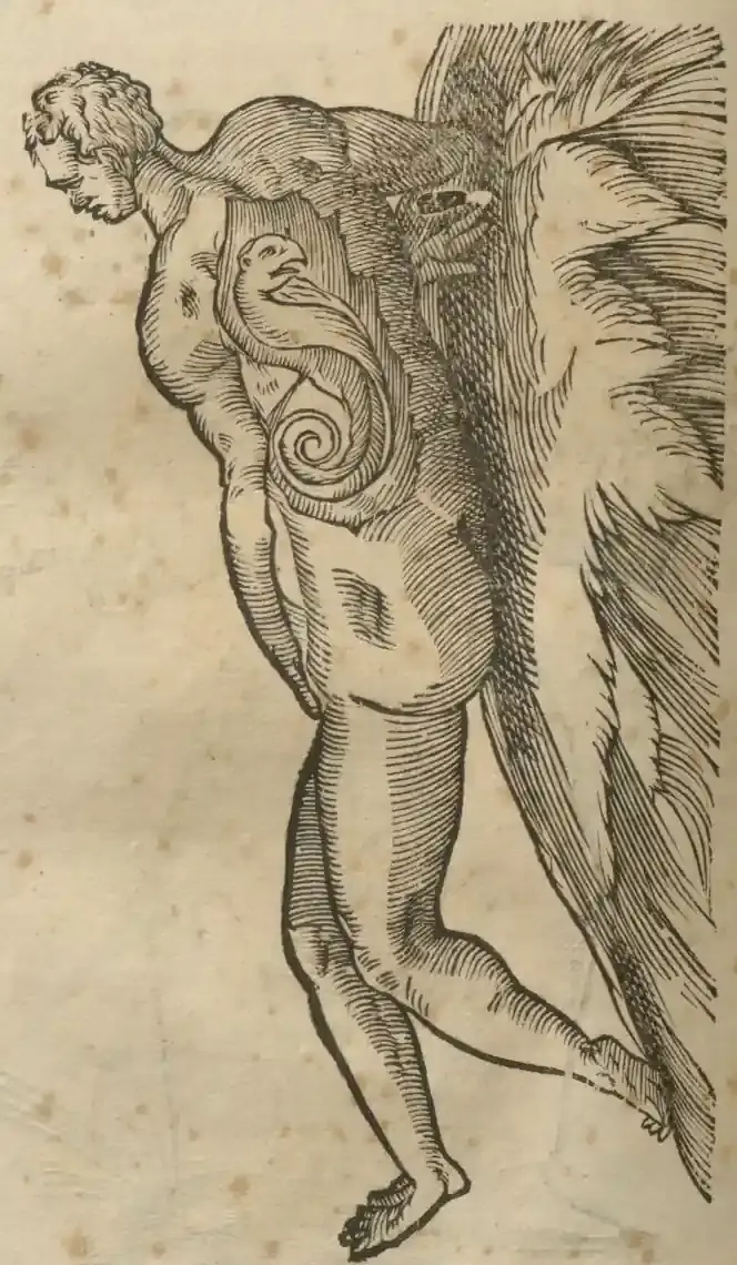 Illustration from page 654