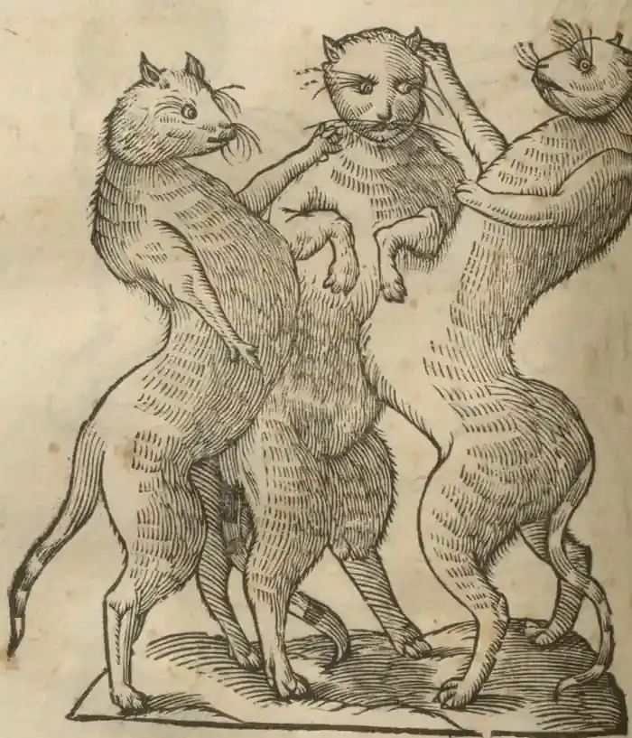 Illustration from page 658