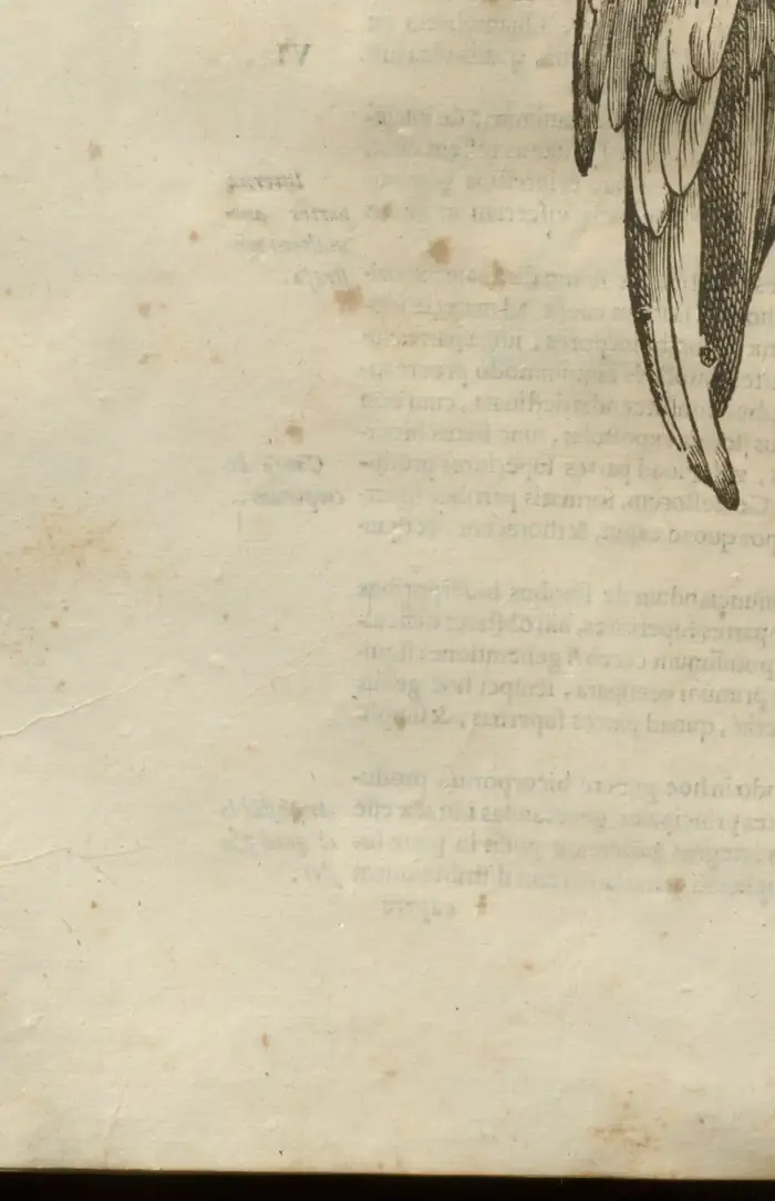 Illustration from page 660