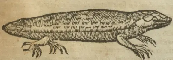 Illustration from page 661