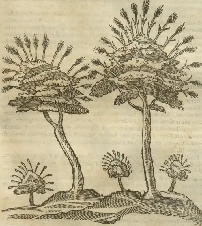 Illustration from page 665