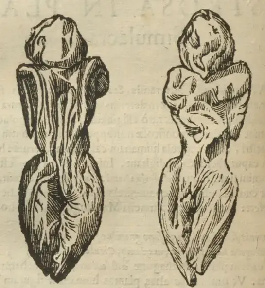 Illustration from page 670