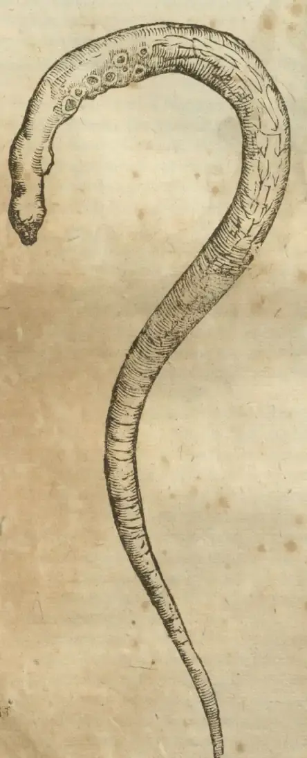 Illustration from page 671