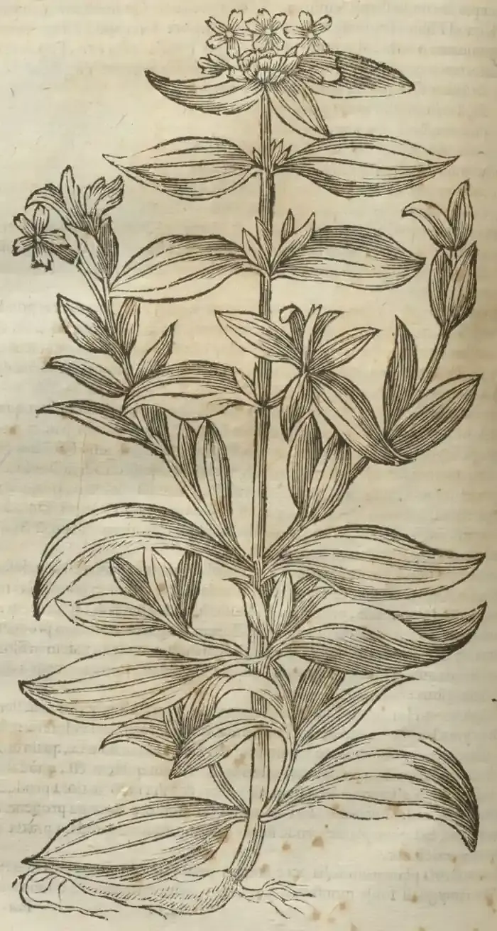 Illustration from page 676