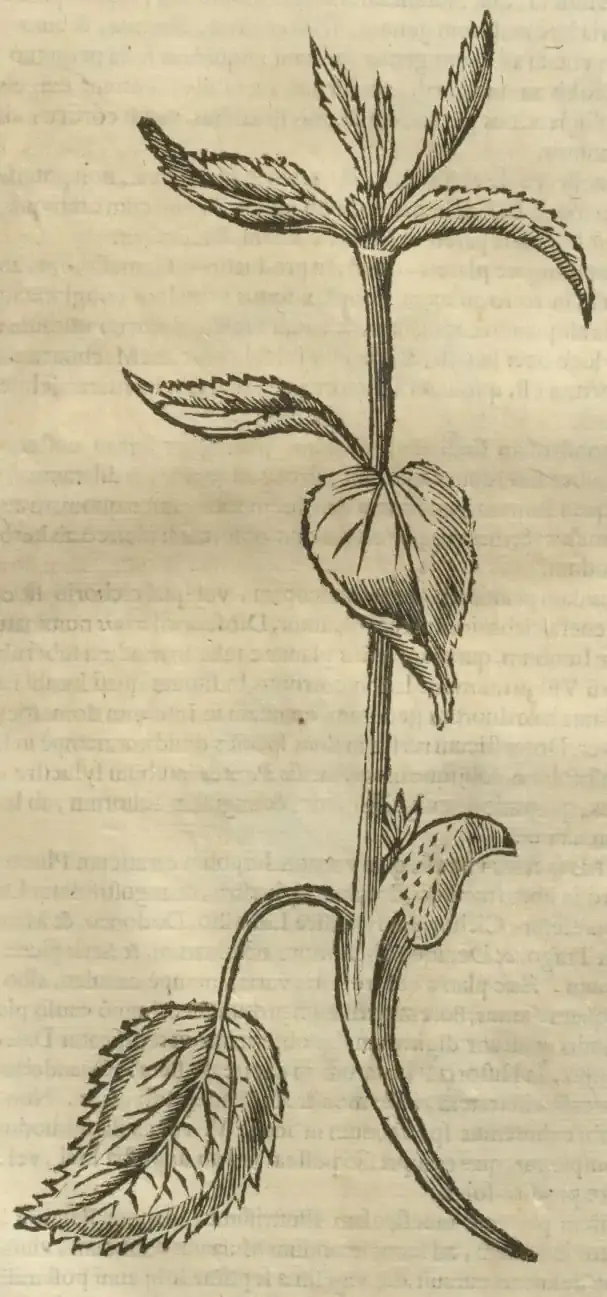 Illustration from page 679