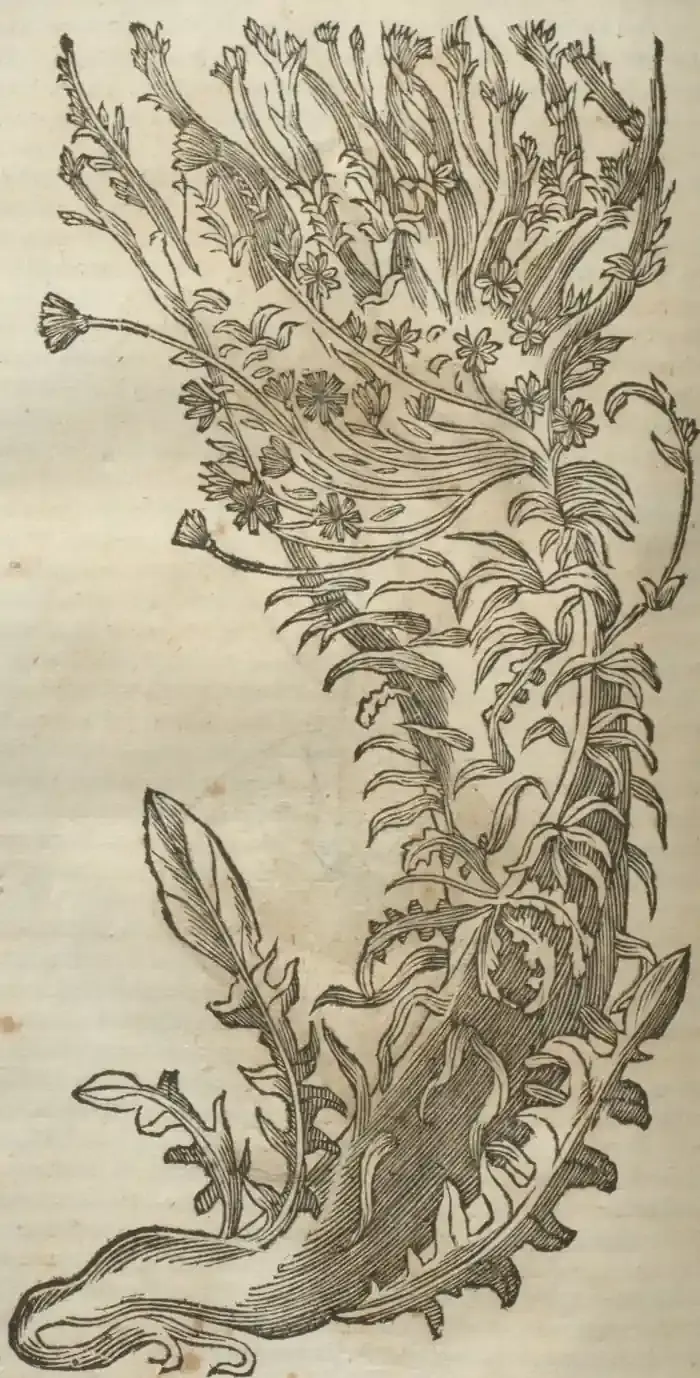 Illustration from page 682