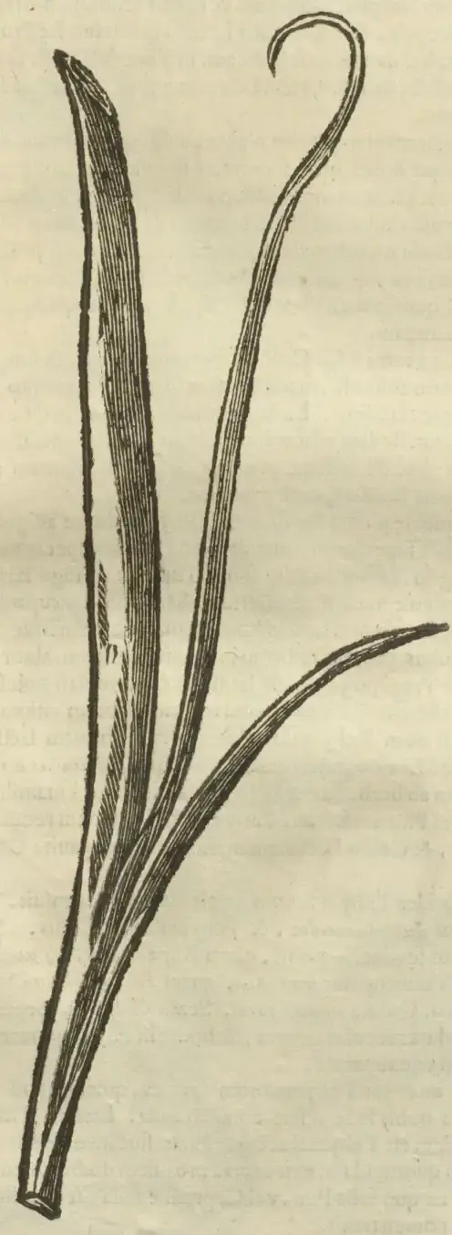 Illustration from page 685