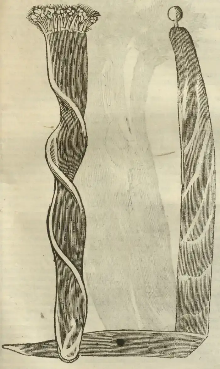 Illustration from page 693