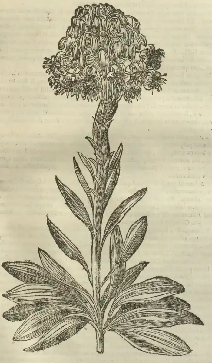 Illustration from page 697