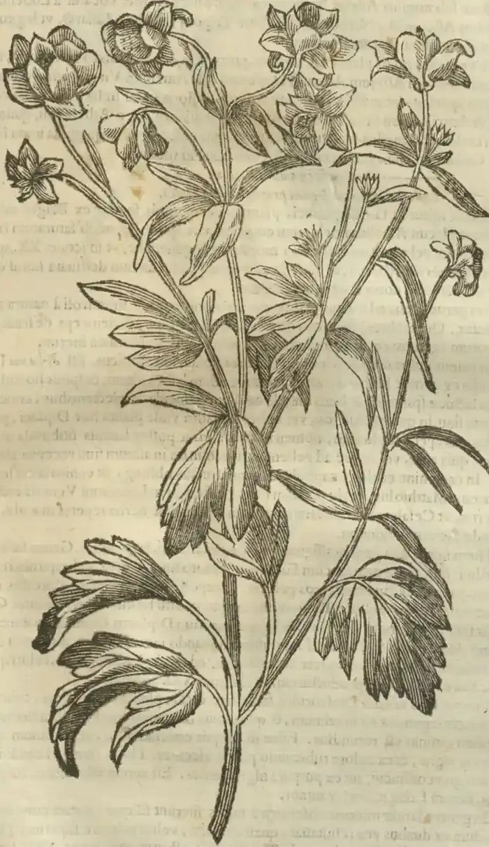Illustration from page 701