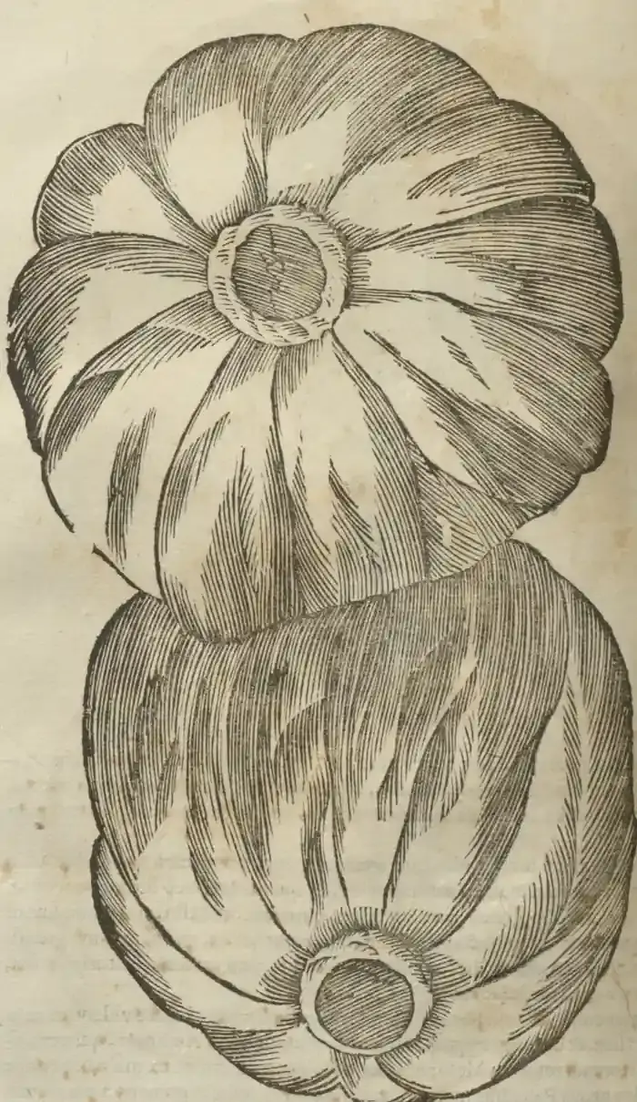 Illustration from page 706