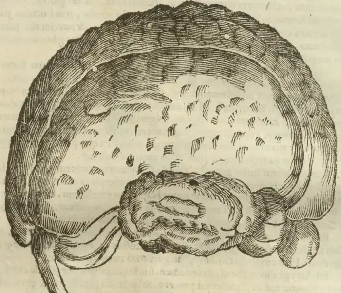 Illustration from page 707