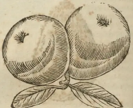 Illustration from page 710