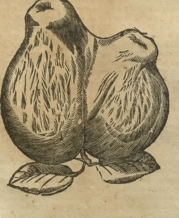 Illustration from page 711