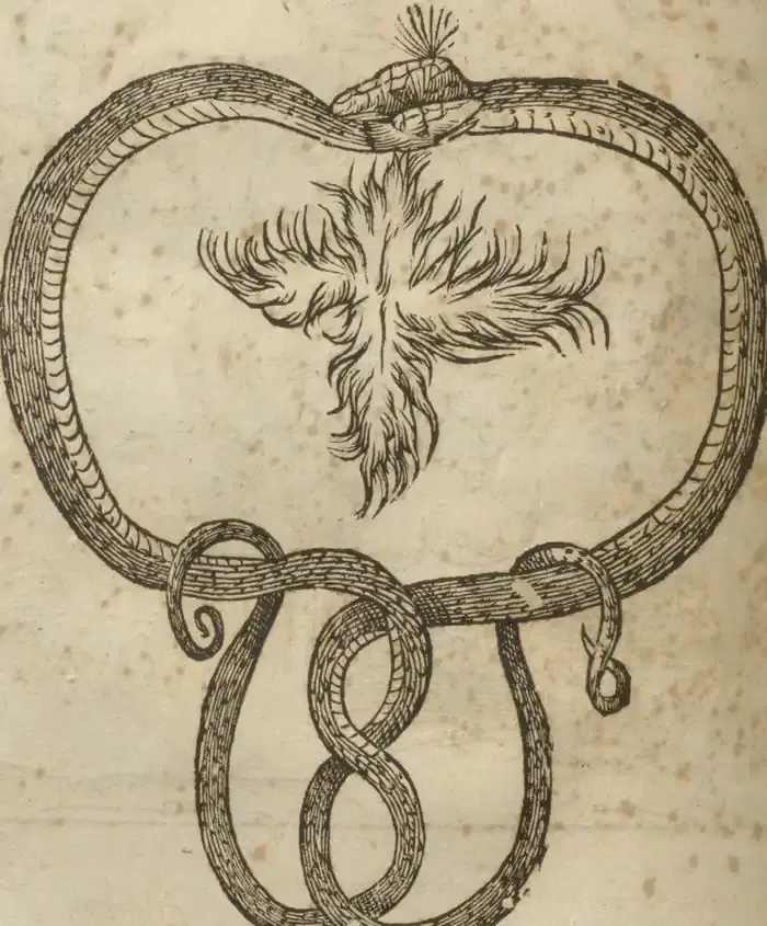 Illustration from page 720