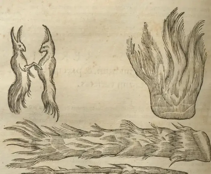 Illustration from page 722