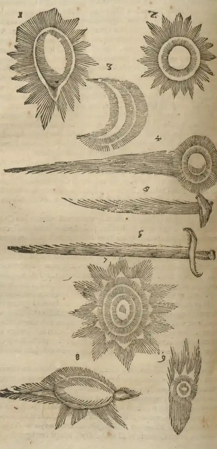 Illustration from page 724