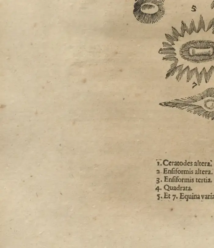 Illustration from page 726