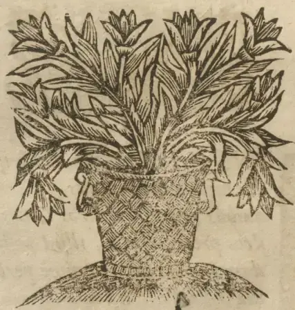 Illustration from page 4