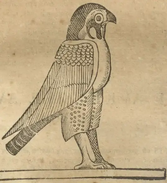 Illustration from page 7