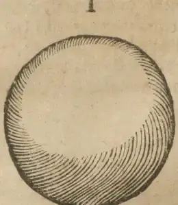 Illustration from page 12