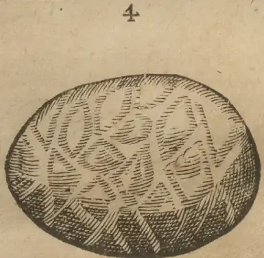 Illustration from page 12