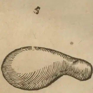 Illustration from page 12