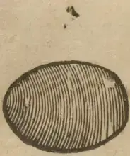 Illustration from page 12