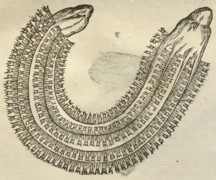 Illustration from page 33