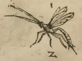 Illustration from page 38