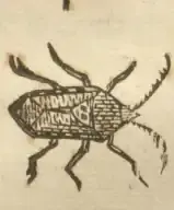 Illustration from page 39