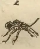 Illustration from page 39