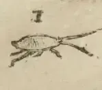 Illustration from page 40