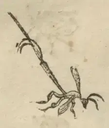 Illustration from page 40