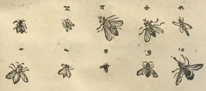Illustration from page 41