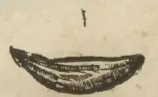 Illustration from page 44