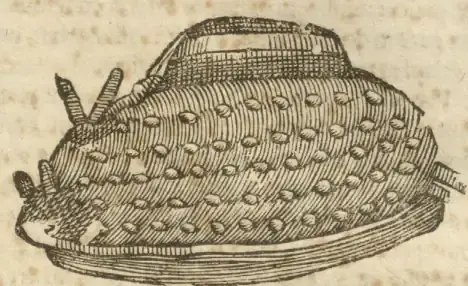 Illustration from page 45