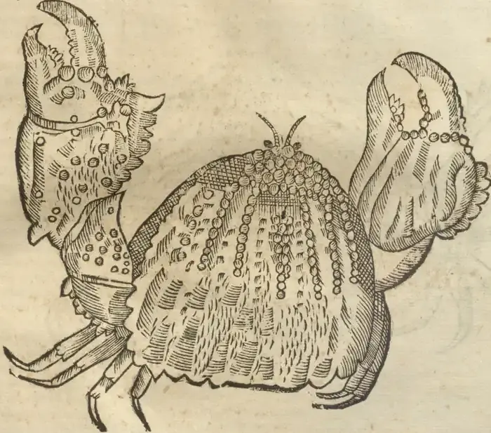 Illustration from page 47