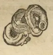 Illustration from page 53