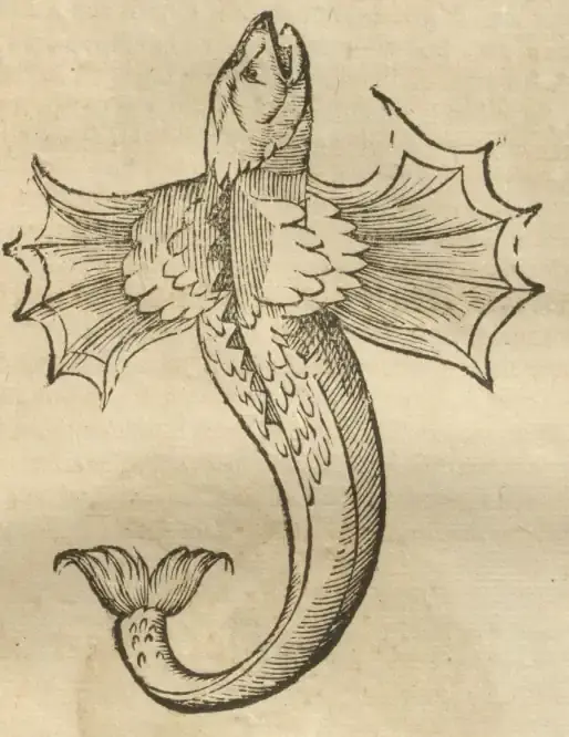 Illustration from page 35