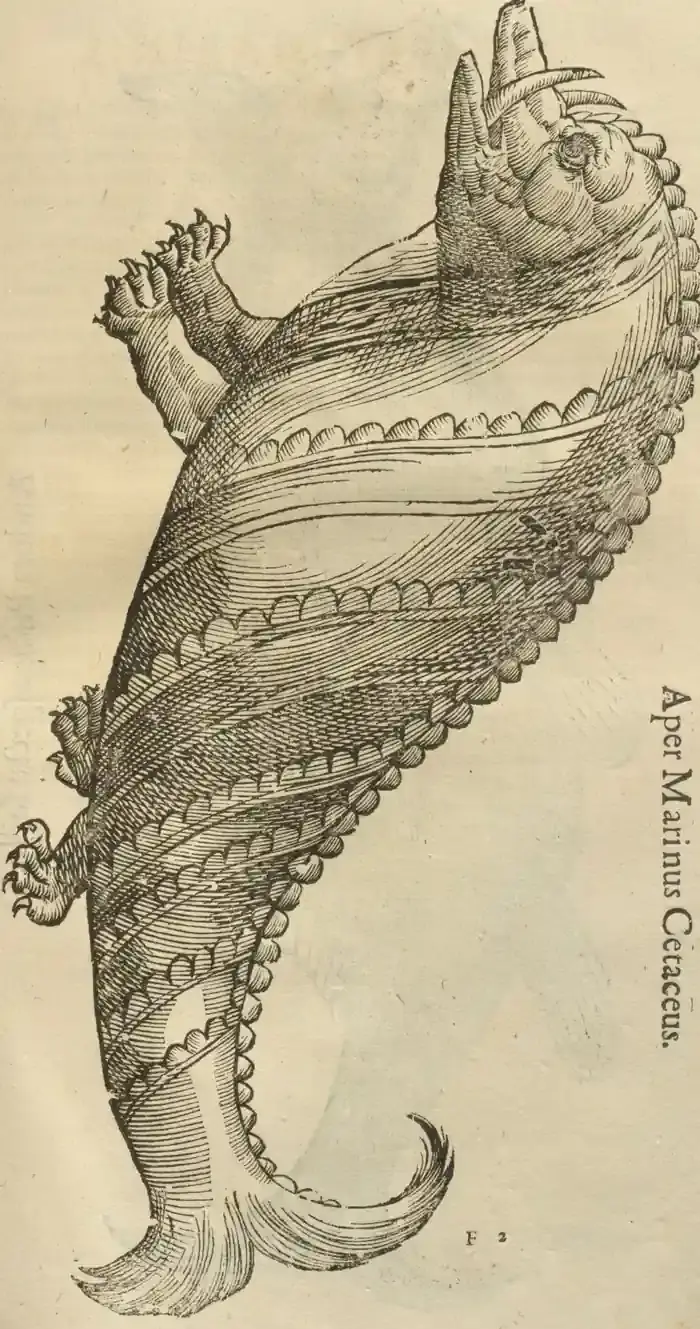 Illustration from page 63