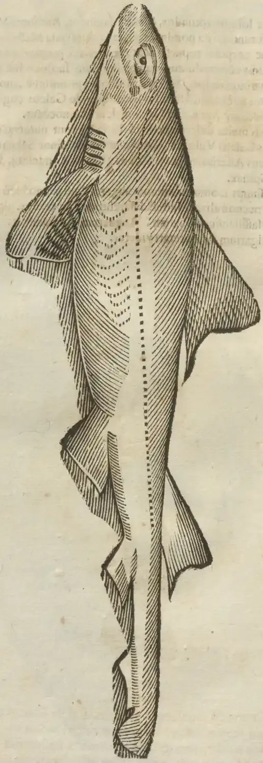 Illustration from page 66