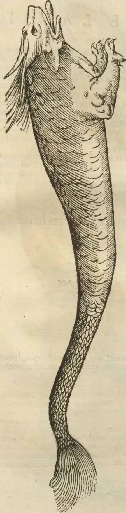 Illustration from page 69