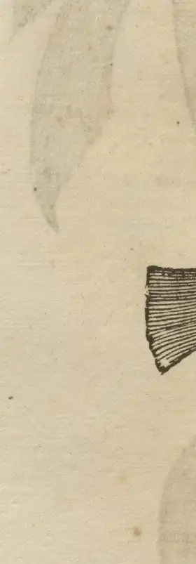 Illustration from page 78