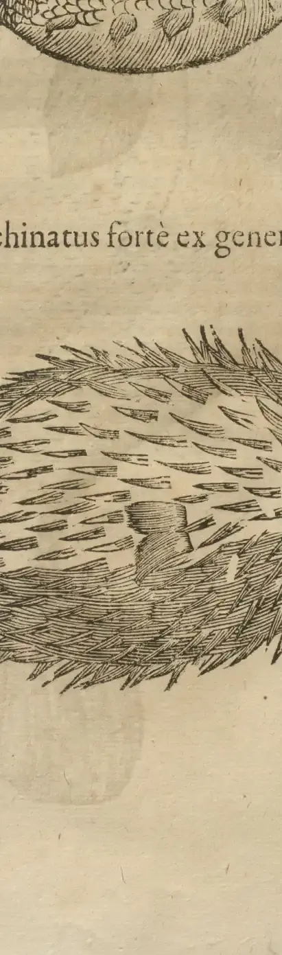 Illustration from page 78