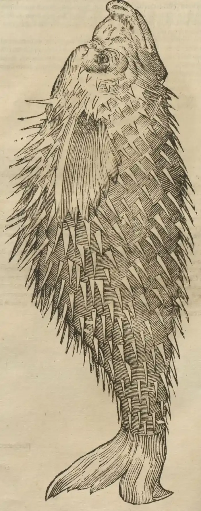 Illustration from page 80